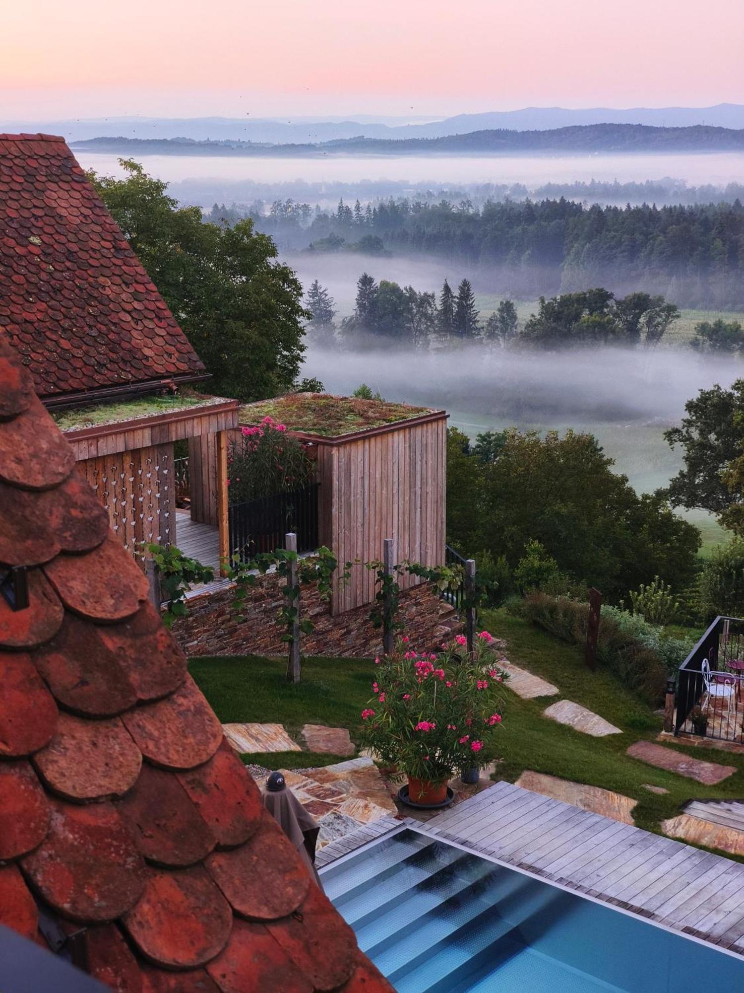 Am Wildbachberg - Luxus Ferienhaeuser Mit Infinitypool, Privatsauna Und Weinkeller دويتشلاندزبرغ المظهر الخارجي الصورة