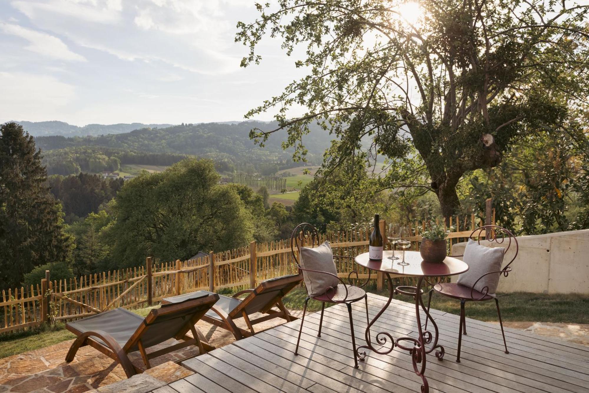 Am Wildbachberg - Luxus Ferienhaeuser Mit Infinitypool, Privatsauna Und Weinkeller دويتشلاندزبرغ المظهر الخارجي الصورة